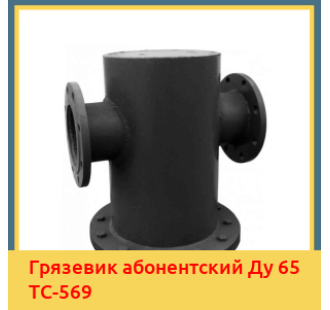 Грязевик абонентский Ду 65 ТС-569 в Уральске