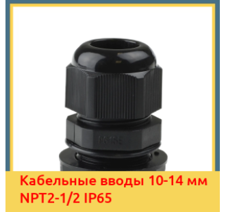Кабельные вводы 10-14 мм NPT2-1/2 IP65 в Уральске
