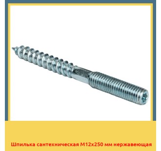 Шпилька сантехническая М12х250 мм нержавеющая