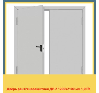 Дверь рентгенозащитная ДР-2 1200х2100 мм 1,0 Pb