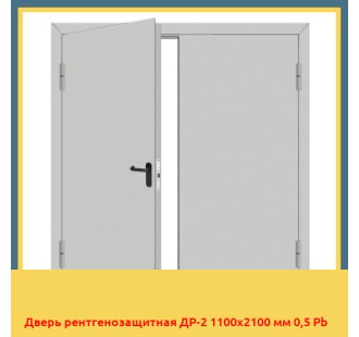 Дверь рентгенозащитная ДР-2 1100х2100 мм 0,5 Pb