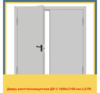 Дверь рентгенозащитная ДР-2 1000х2100 мм 2,0 Pb