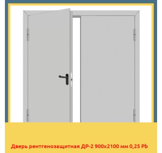 Дверь рентгенозащитная ДР-2 900х2100 мм 0,25 Pb