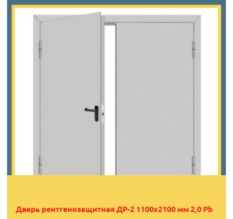 Дверь рентгенозащитная ДР-2 1100х2100 мм 2,0 Pb