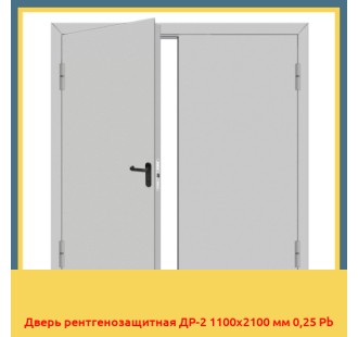 Дверь рентгенозащитная ДР-2 1100х2100 мм 0,25 Pb