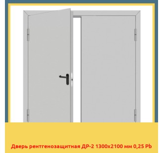 Дверь рентгенозащитная ДР-2 1300х2100 мм 0,25 Pb