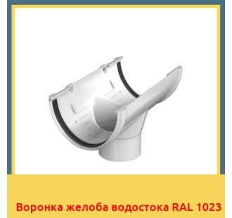 Воронка желоба водостока RAL 1023 в Уральске
