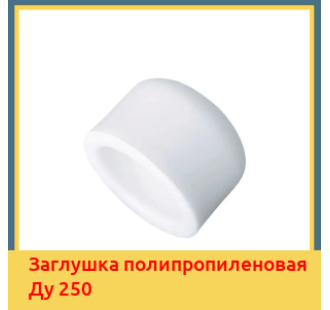 Заглушка полипропиленовая Ду 250 в Уральске
